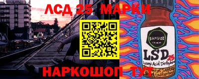 гидропоника Гусев