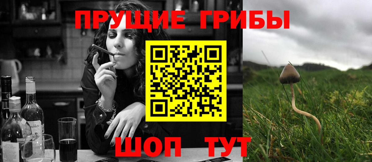 Пермь  Псилоцибиновые грибы прущие грибы  Вход с VPN 
