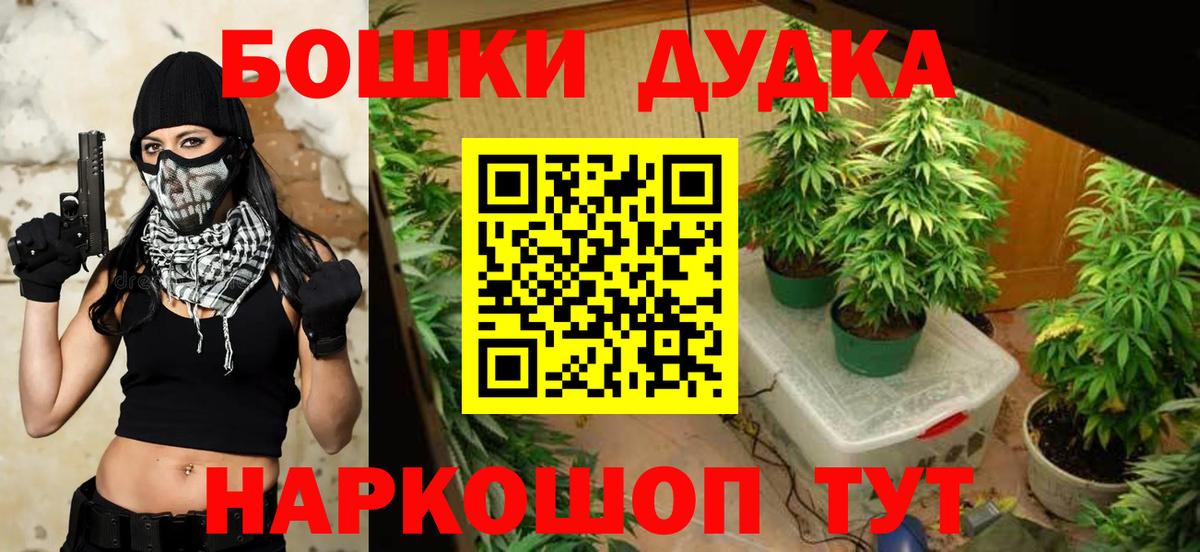 Конопля план Пермь